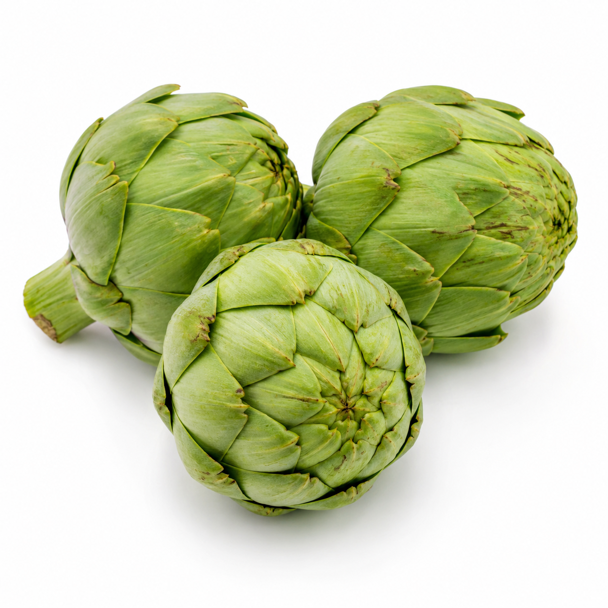 Home Garden Artichoke Vegetable Seeds - home garden seed pack