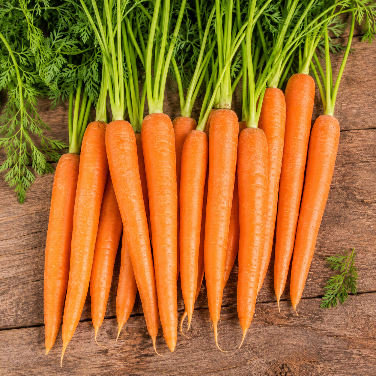 Carrot Vegetable Seeds for Home Gardens - home garden seed pack