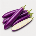 Eggplant Vegetable Seeds for Home Gardens - home garden seed pack