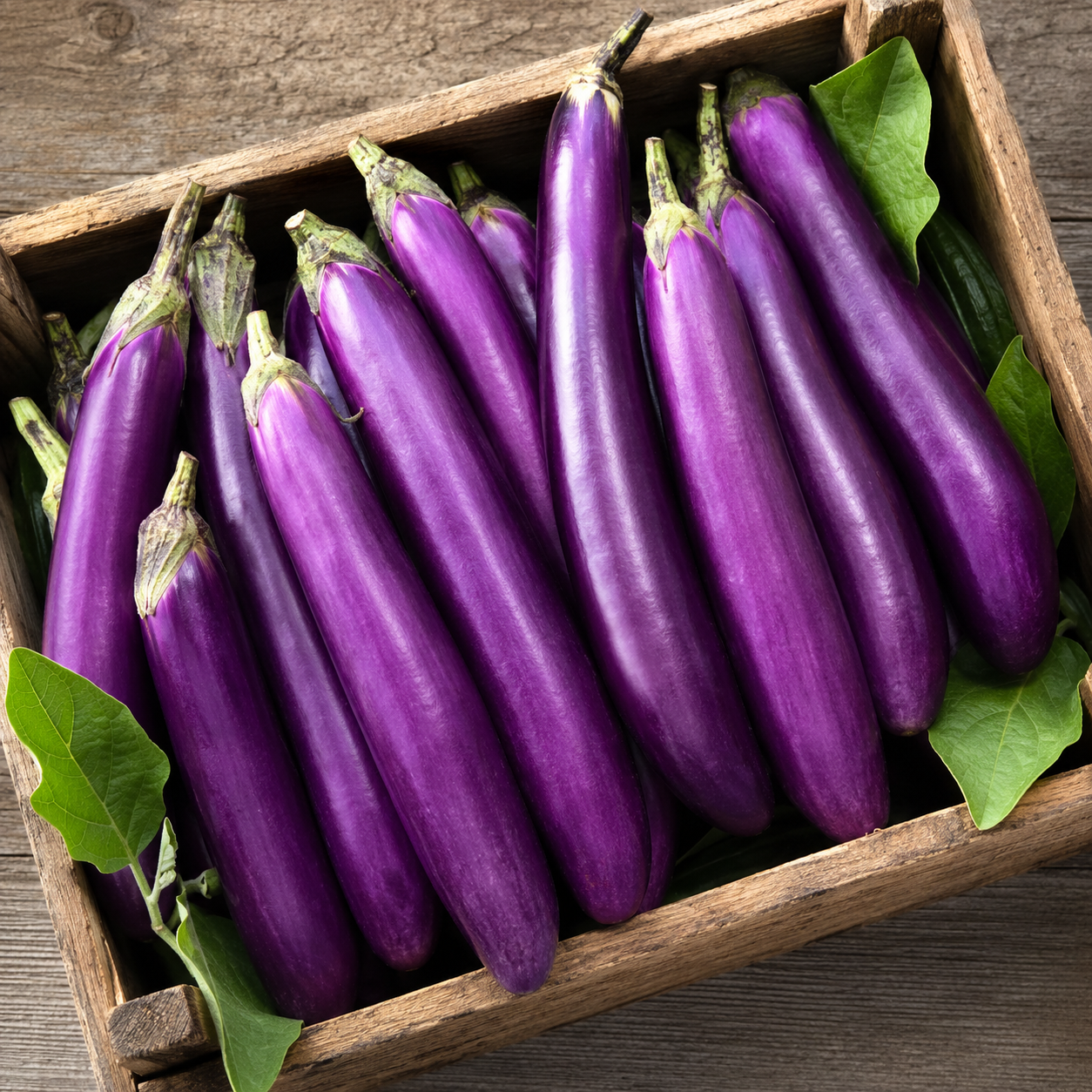 Eggplant Vegetable Seeds for Home Gardens - home garden seed pack