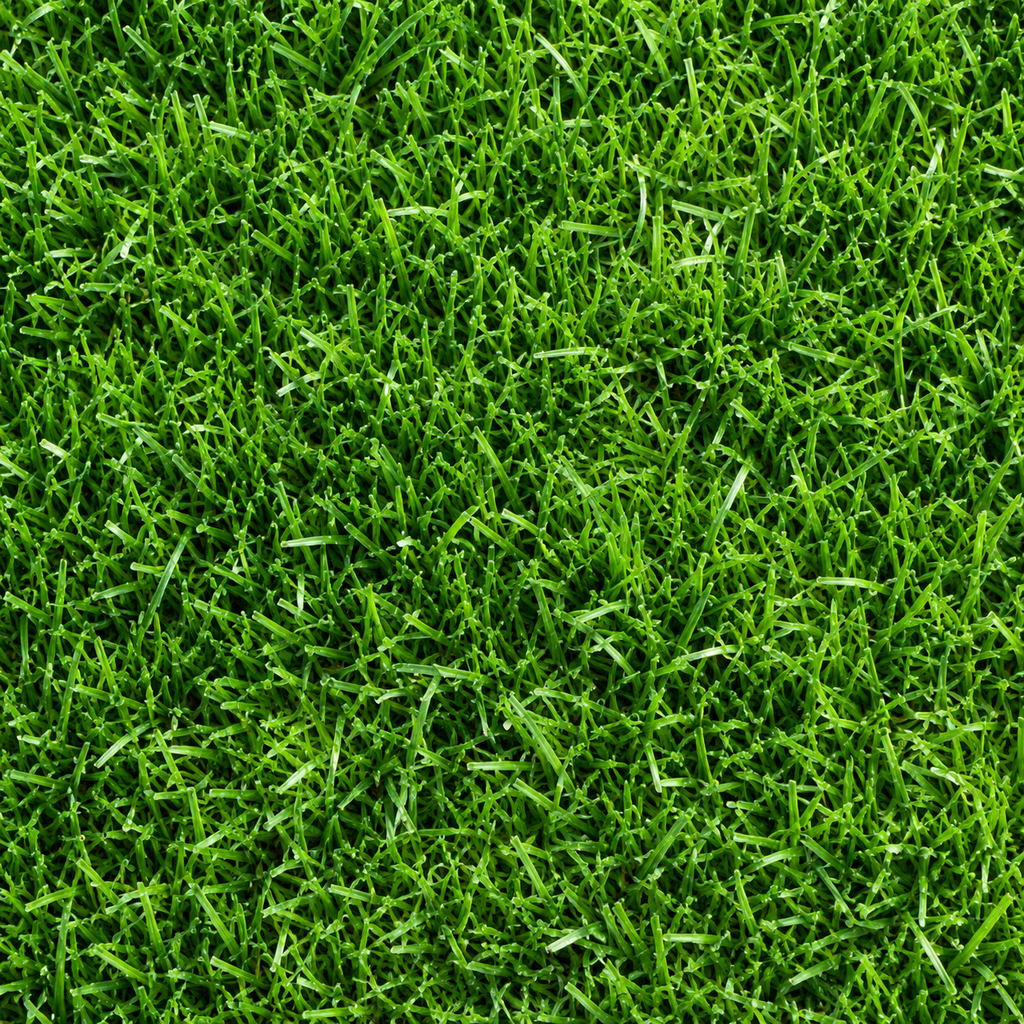 Grass Grower Seeds - home garden seed pack