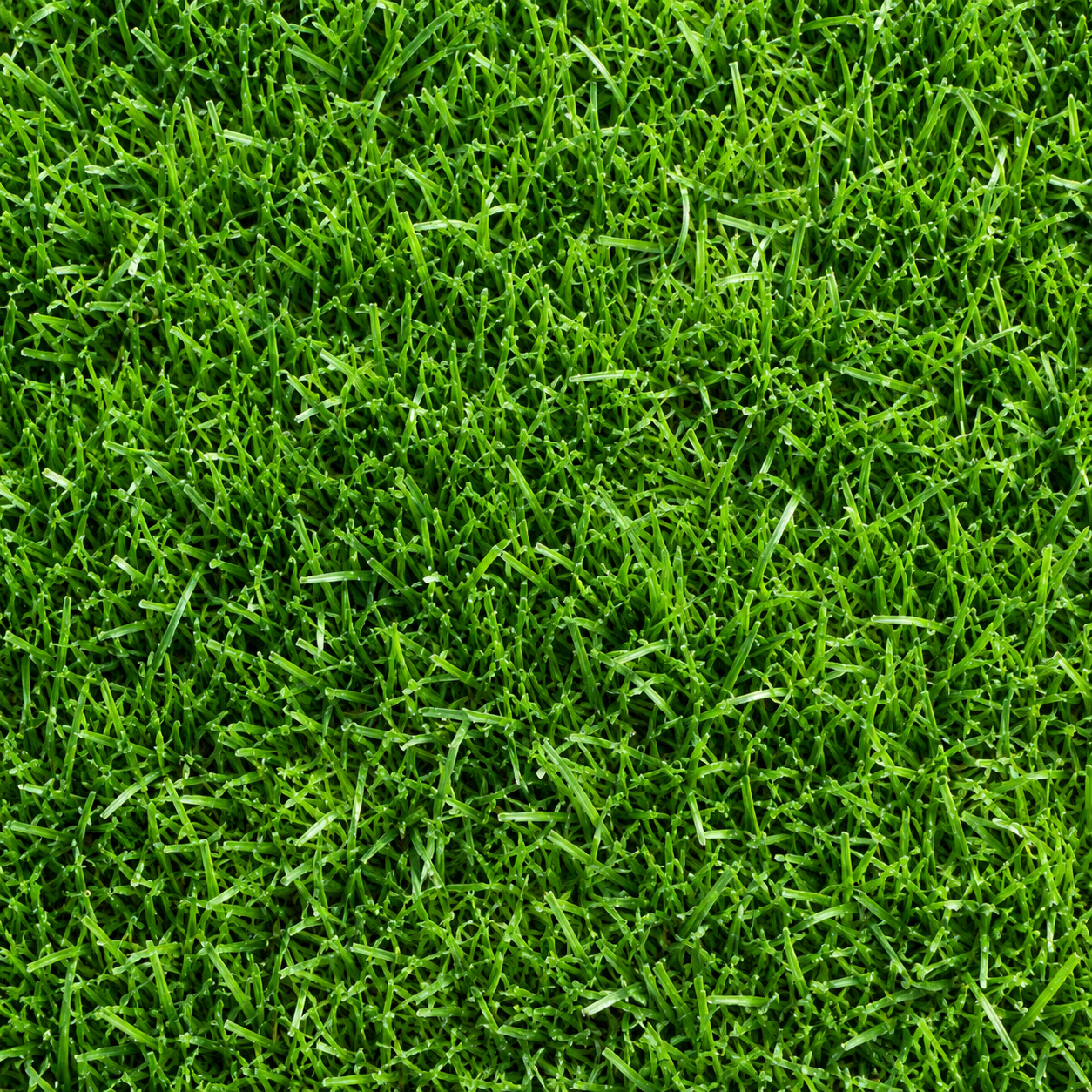 Grass Grower Seeds - home garden seed pack