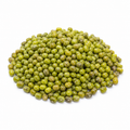 Green Beans Seeds for Raised Beds and Containers - home garden seed pack