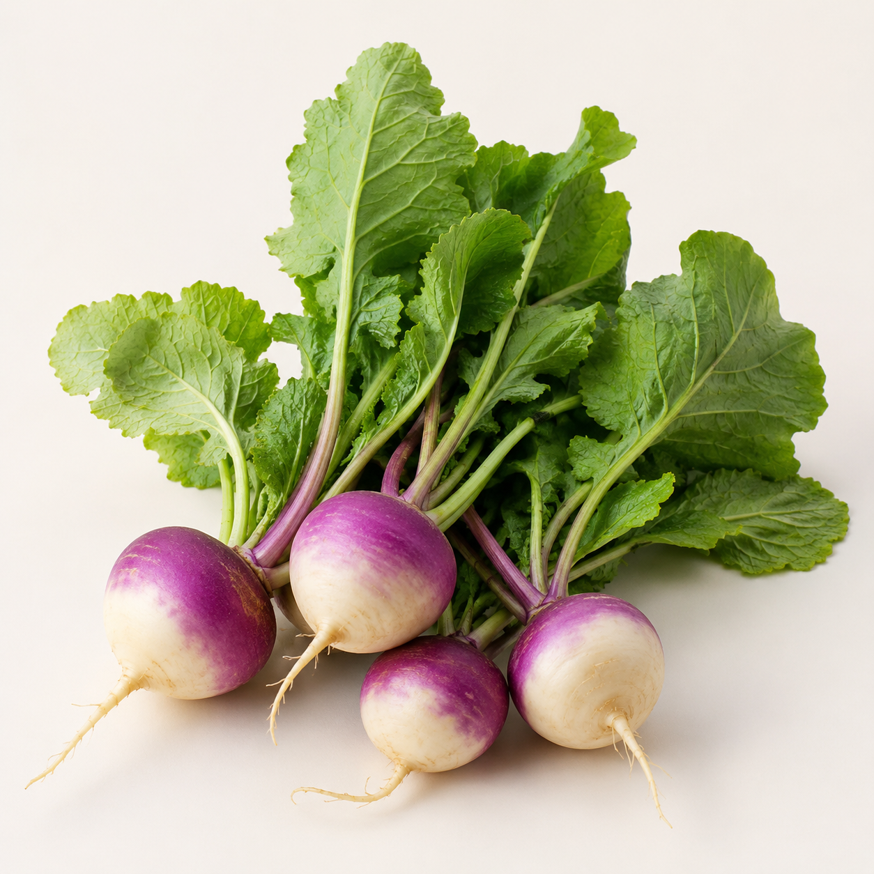 Kohlrabi Seeds for Raised Beds and Containers - home garden seed pack