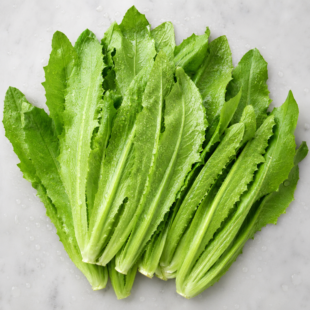 Leaf Lettuce / Romaine Lettuce Vegetable Seeds for Home Gardens - home garden seed pack