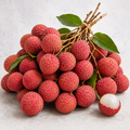 Lychee Grower Seed Pack - home garden seed pack