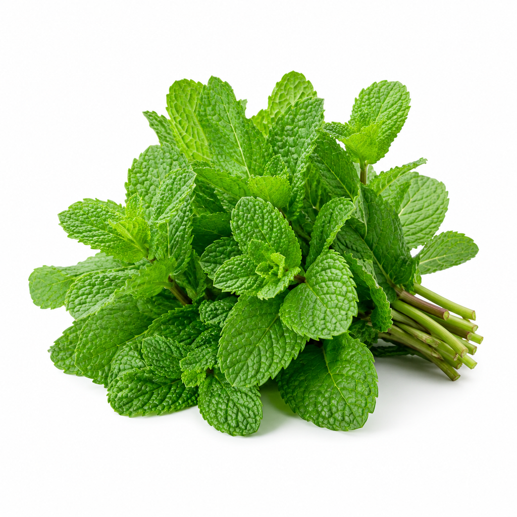 Peppermint Grower Seed Pack - home garden seed pack