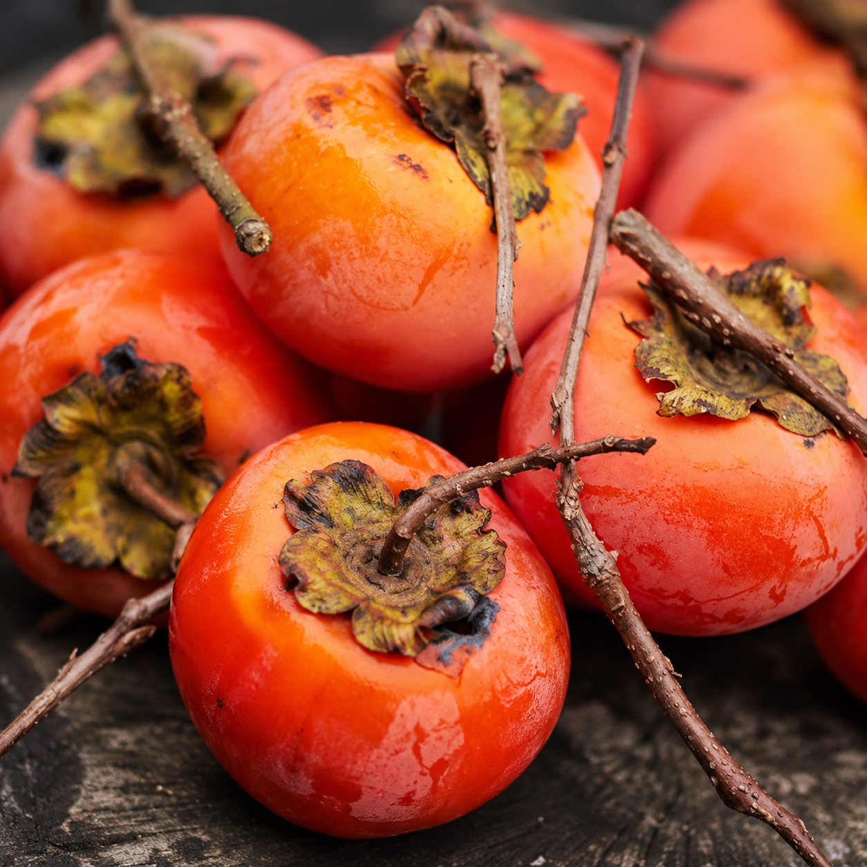 Persimmon Grower Seed Pack - home garden seed pack