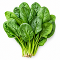 Spinach Seed Pack for Kitchen Gardens - home garden seed pack