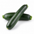 Zucchini / Courgette Vegetable Seeds for Home Gardens - home garden seed pack